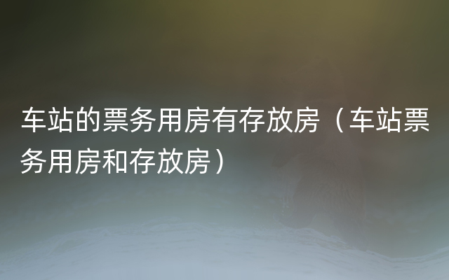 车站的票务用房有存放房（车站票务用房和存放房）