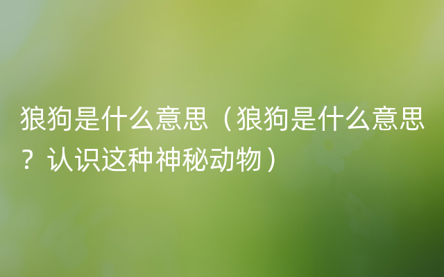狼狗是什么意思（狼狗是什么意思？认识这种神秘动物）