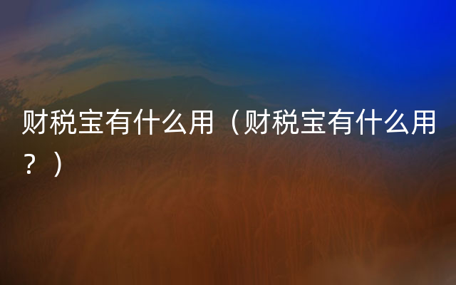 财税宝有什么用（财税宝有什么用？）