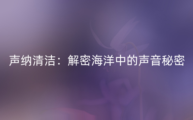 声纳清洁：解密海洋中的声音秘密