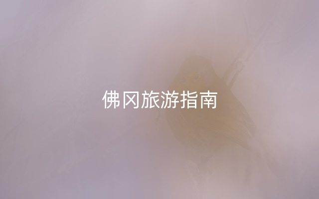 佛冈旅游指南