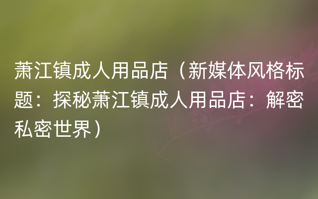 萧江镇成人用品店（新媒体风格标题：探秘萧江镇成人用品店：解密私密世界）
