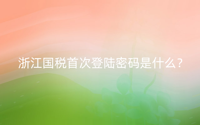 浙江国税首次登陆密码是什么？