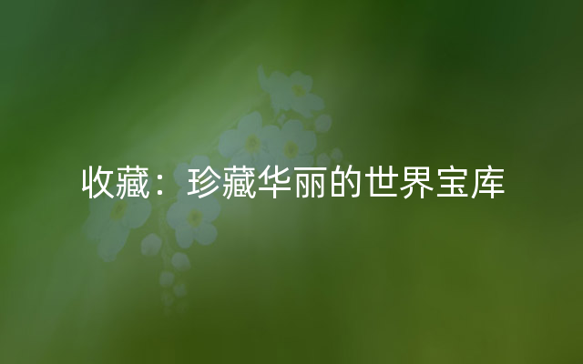 收藏：珍藏华丽的世界宝库
