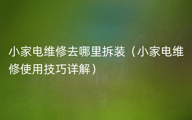 小家电维修去哪里拆装（小家电维修使用技巧详解）