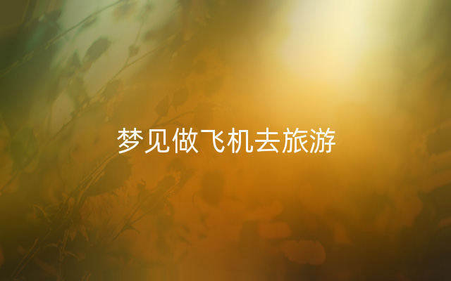 梦见做飞机去旅游