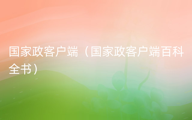 国家政客户端（国家政客户端百科全书）