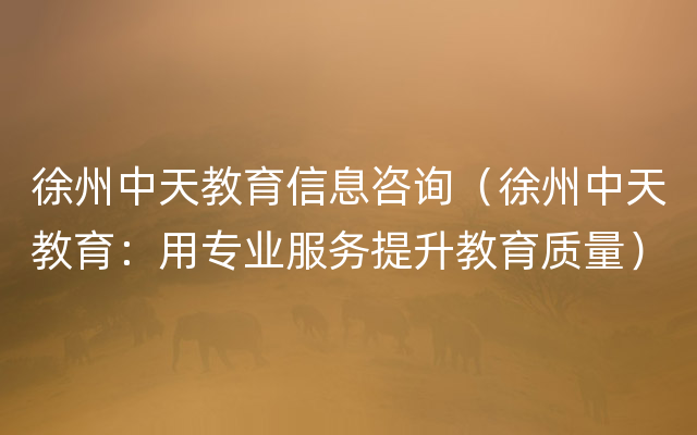 徐州中天教育信息咨询（徐州中天教育：用专业服务提升教育质量）