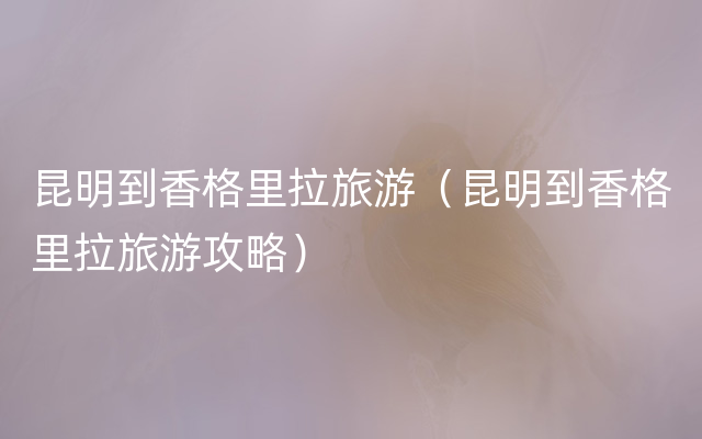 昆明到香格里拉旅游（昆明到香格里拉旅游攻略）