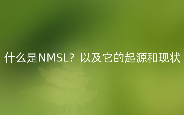 什么是NMSL？以及它的起源和现状