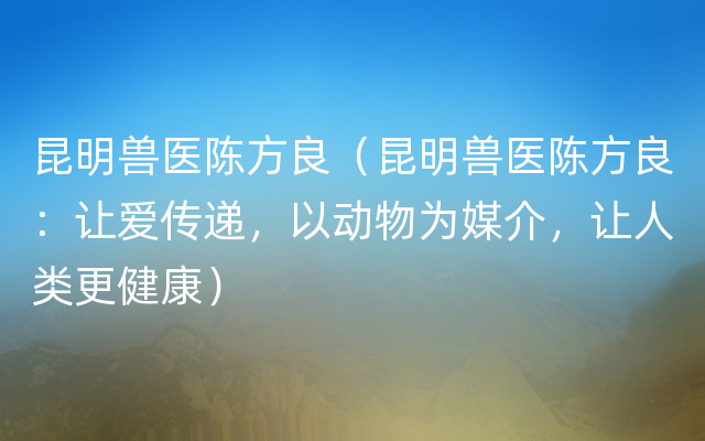 昆明兽医陈方良（昆明兽医陈方良：让爱传递，以动物为媒介，让人类更健康）