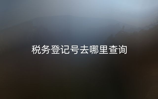 税务登记号去哪里查询