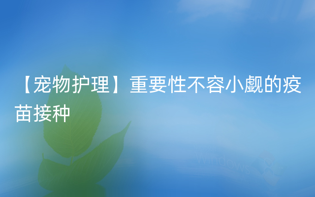 【宠物护理】重要性不容小觑的疫苗接种