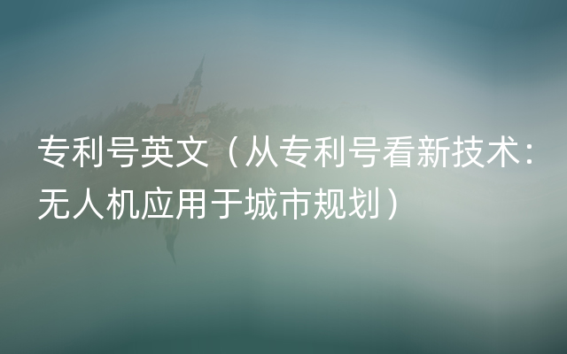 专利号英文（从专利号看新技术：无人机应用于城市规划）