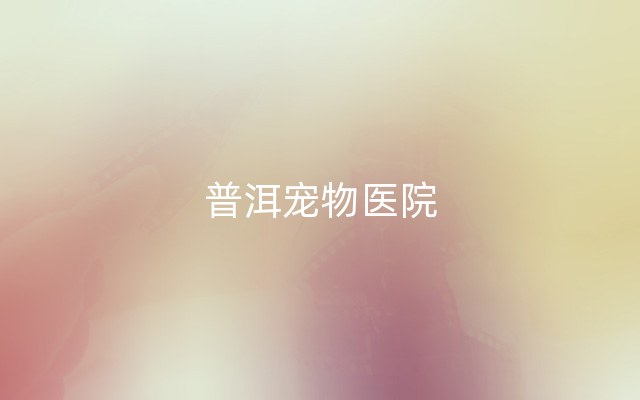 普洱宠物医院