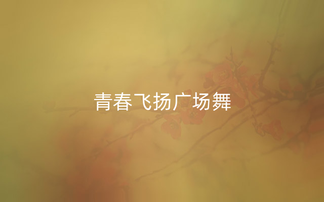 青春飞扬广场舞