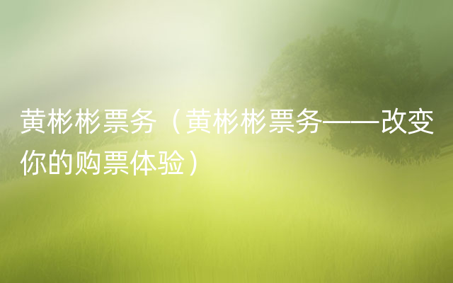 黄彬彬票务（黄彬彬票务——改变你的购票体验）