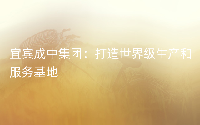 宜宾成中集团：打造世界级生产和服务基地