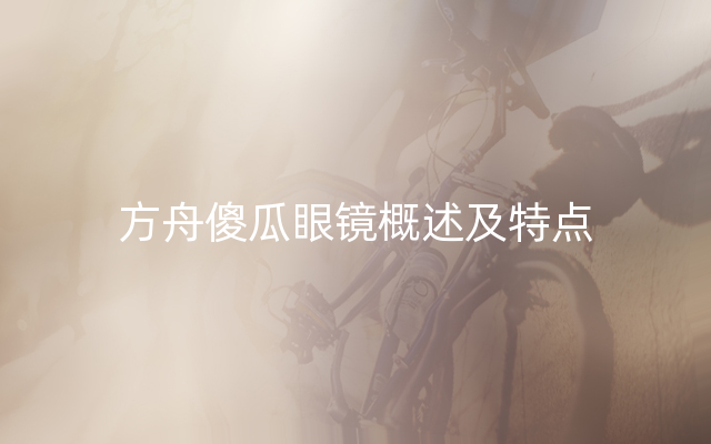 方舟傻瓜眼镜概述及特点