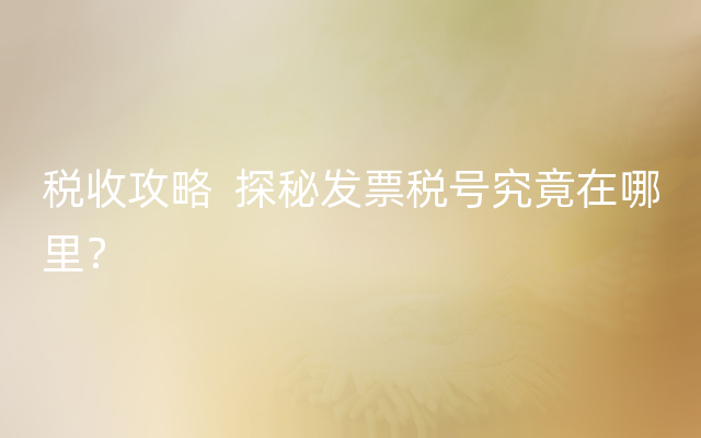 税收攻略  探秘发票税号究竟在哪里？