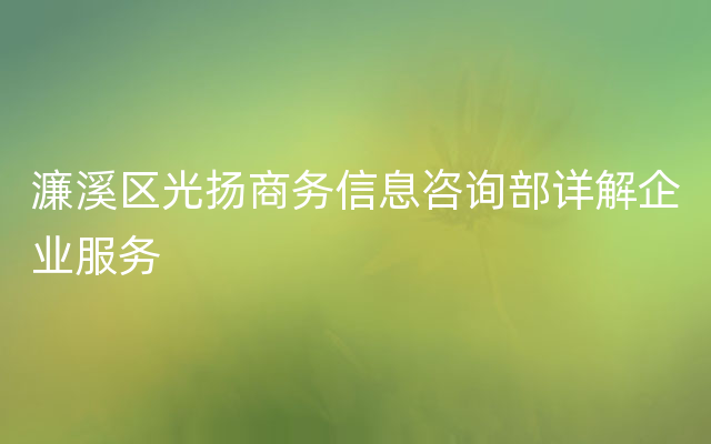 濂溪区光扬商务信息咨询部详解企业服务