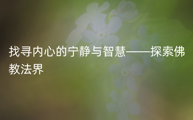 找寻内心的宁静与智慧——探索佛教法界