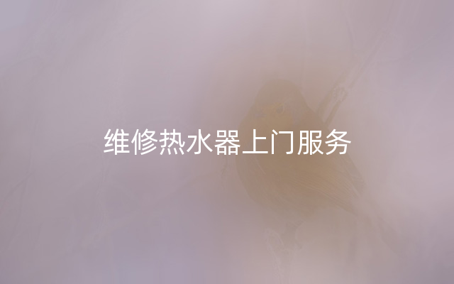 维修热水器上门服务