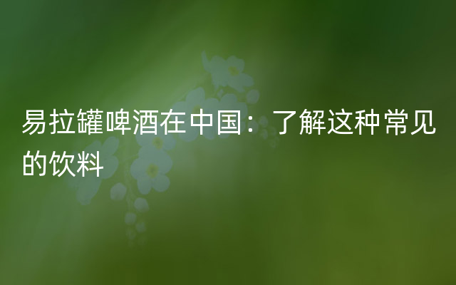 易拉罐啤酒在中国：了解这种常见的饮料