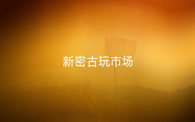 新密古玩市场