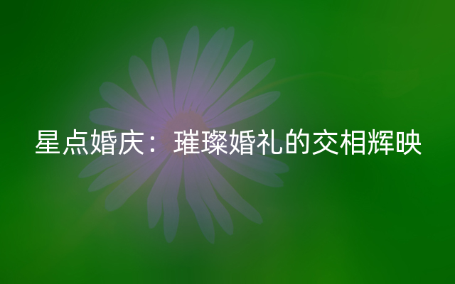 星点婚庆：璀璨婚礼的交相辉映
