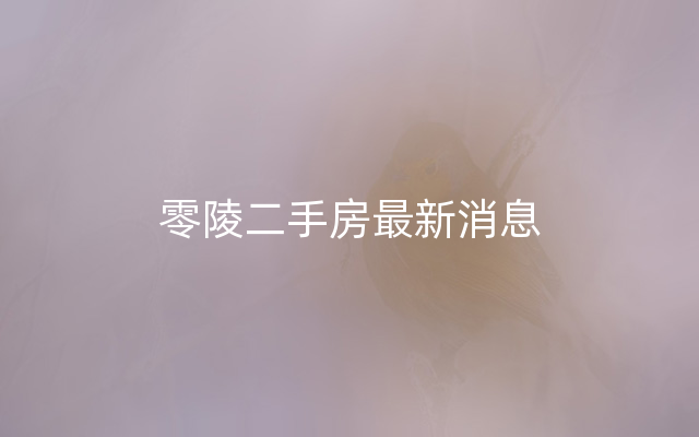 零陵二手房最新消息