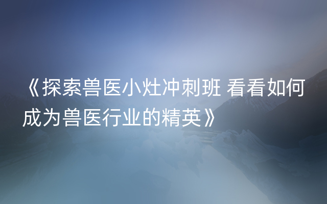 《探索兽医小灶冲刺班 看看如何成为兽医行业的精英》