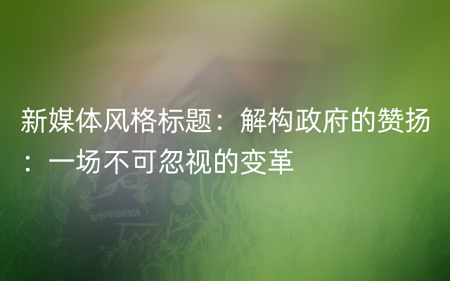 新媒体风格标题：解构政府的赞扬：一场不可忽视的变革