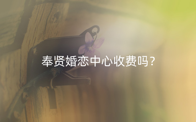 奉贤婚恋中心收费吗？