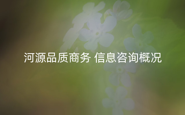 河源品质商务 信息咨询概况