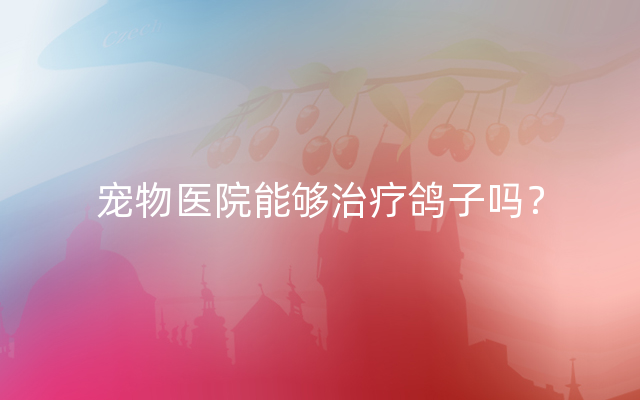 宠物医院能够治疗鸽子吗？