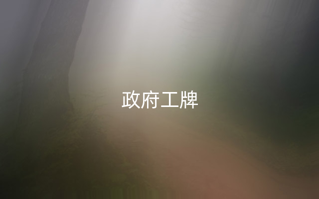 政府工牌
