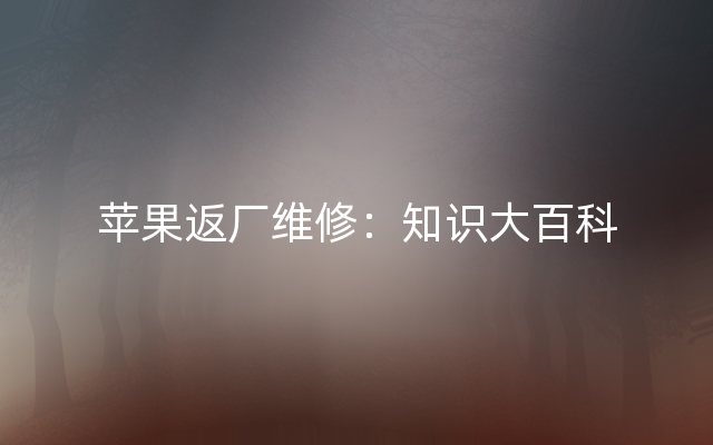 苹果返厂维修：知识大百科