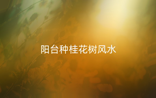 阳台种桂花树风水