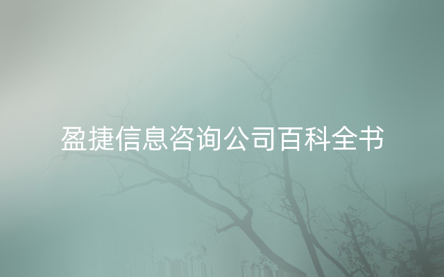 盈捷信息咨询公司百科全书
