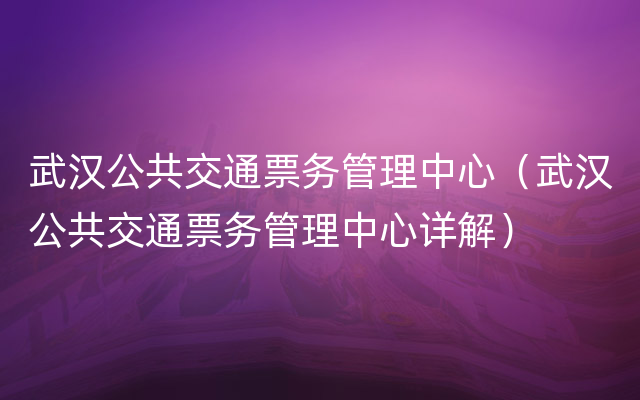 武汉公共交通票务管理中心（武汉公共交通票务管理中心详解）