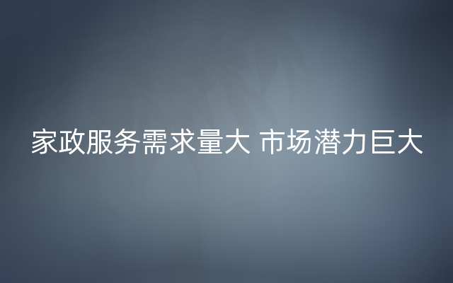 家政服务需求量大 市场潜力巨大
