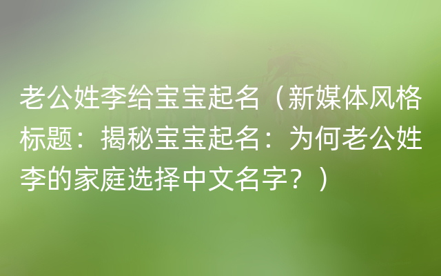 老公姓李给宝宝起名（新媒体风格标题：揭秘宝宝起名：为何老公姓李的家庭选择中文名字