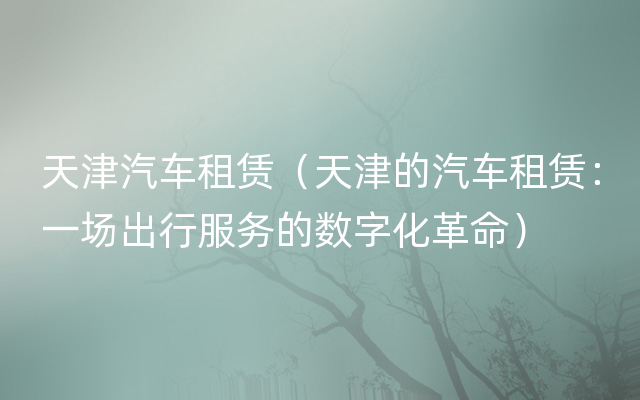 天津汽车租赁（天津的汽车租赁：一场出行服务的数字化革命）