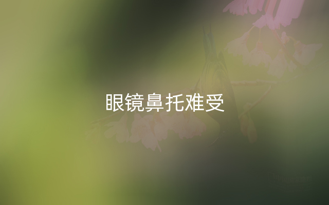 眼镜鼻托难受