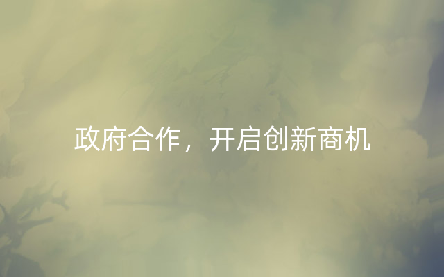 政府合作，开启创新商机