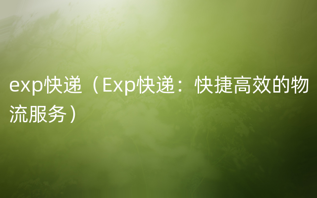exp快递（Exp快递：快捷高效的物流服务）