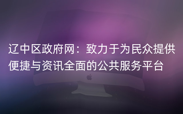 辽中区政府网：致力于为民众提供便捷与资讯全面的公共服务平台