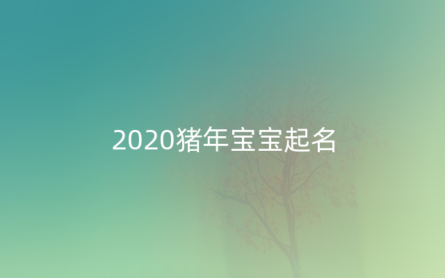 2020猪年宝宝起名