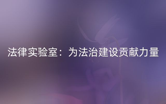 法律实验室：为法治建设贡献力量